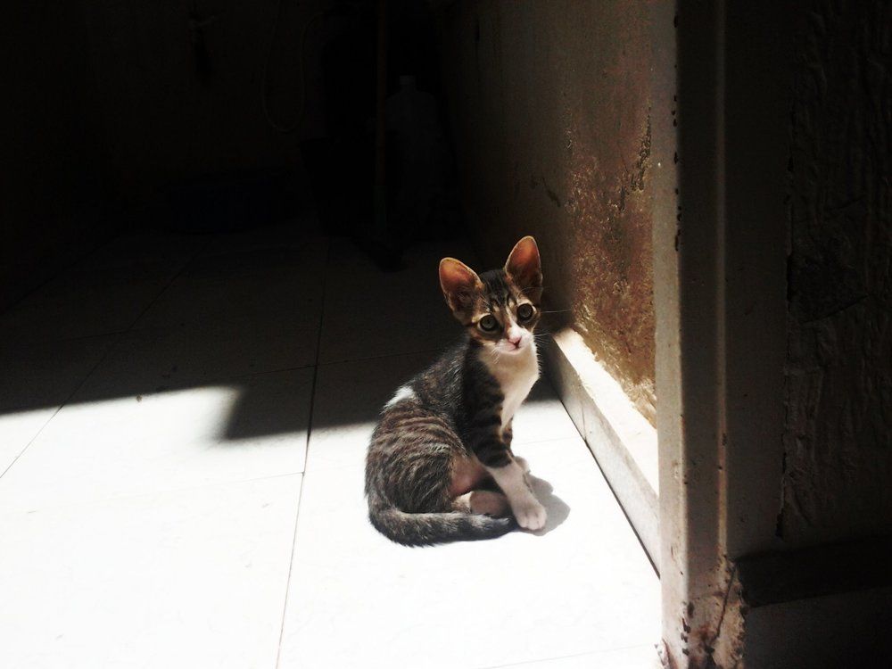 Photograph by Moussiqui Soukaina