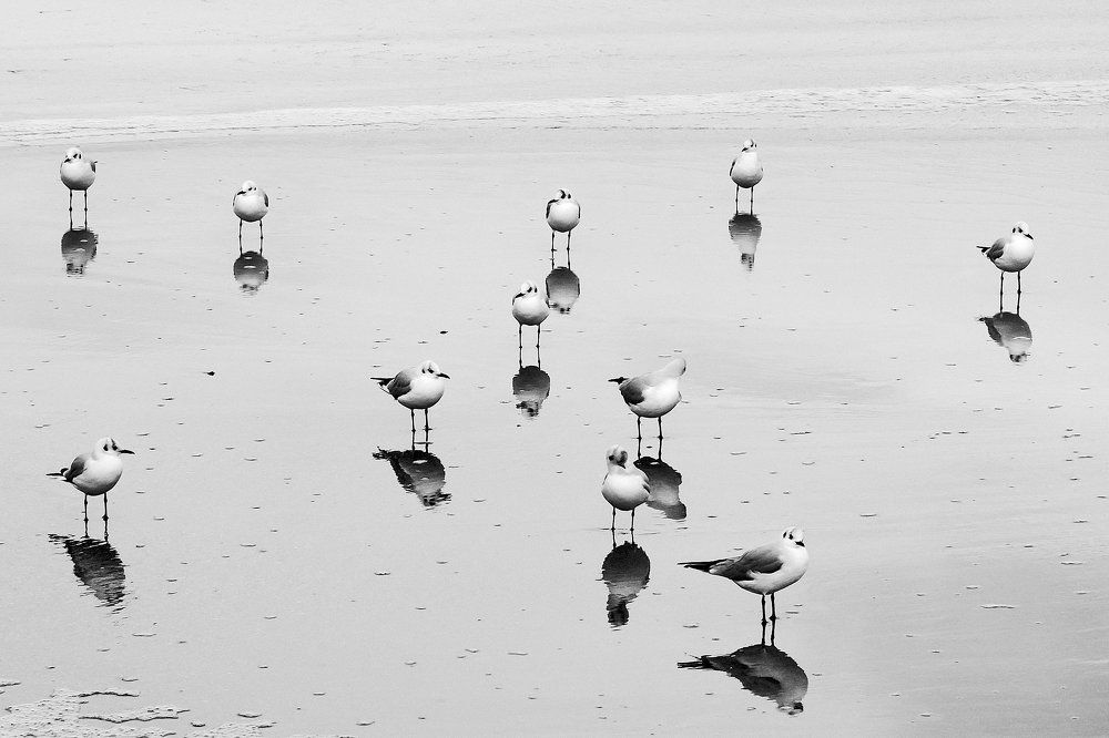 Зеркало моря