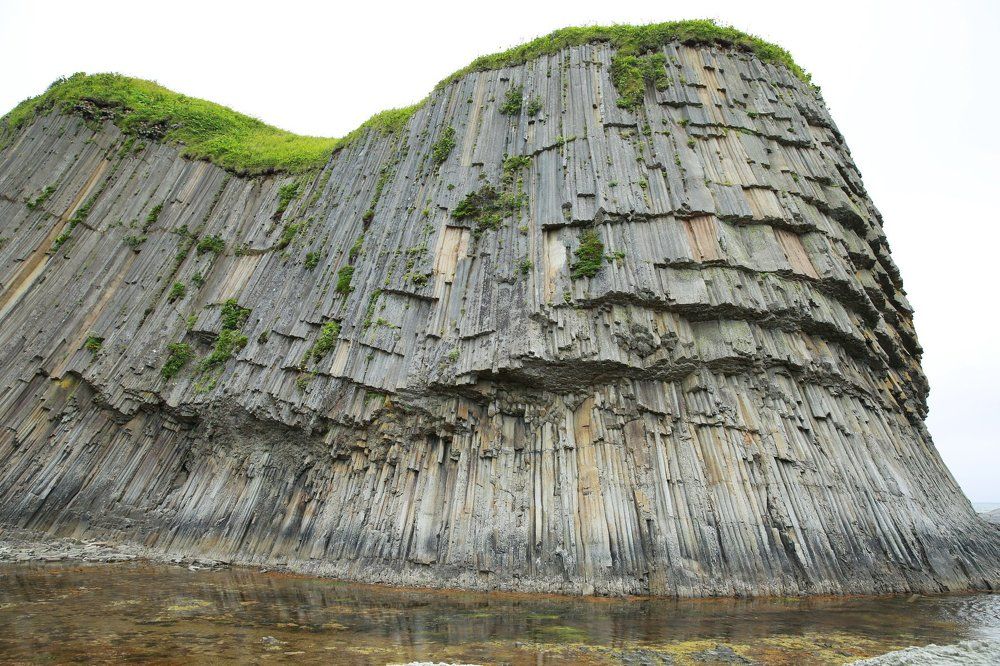 Природный оргАн