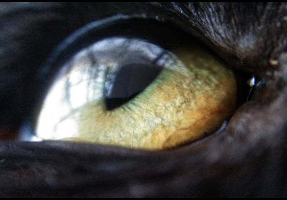 Photograph by Lazur_Na