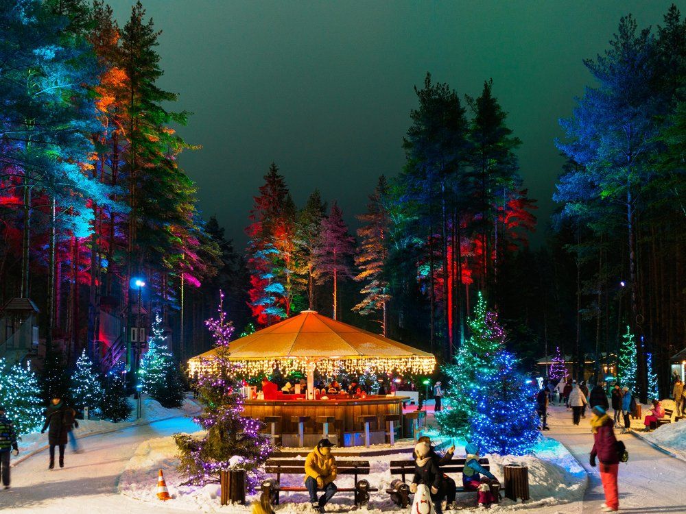 Лесная сказка