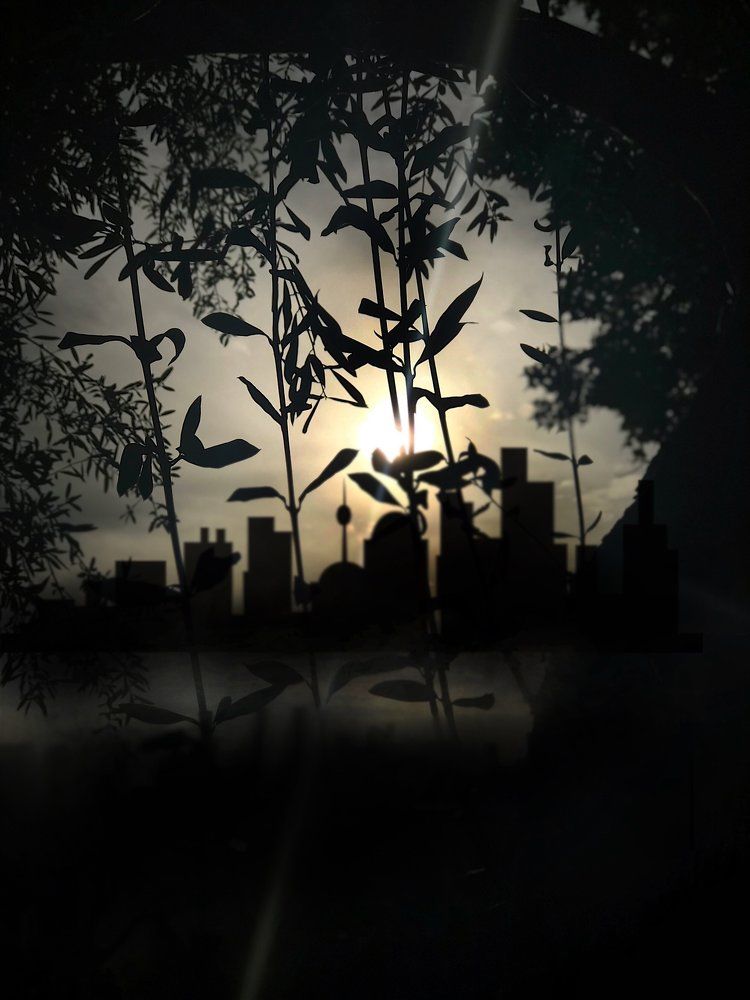 В окнах города