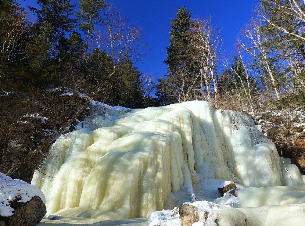 Зимняя сгущёнка.