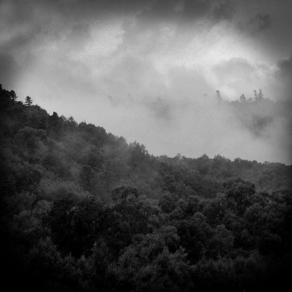 Спящий "Сихотэ - Алинь"