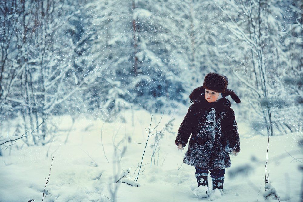 поход за елкой