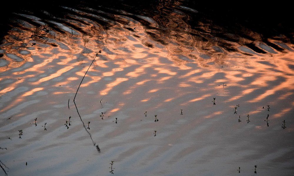 Coppery waves