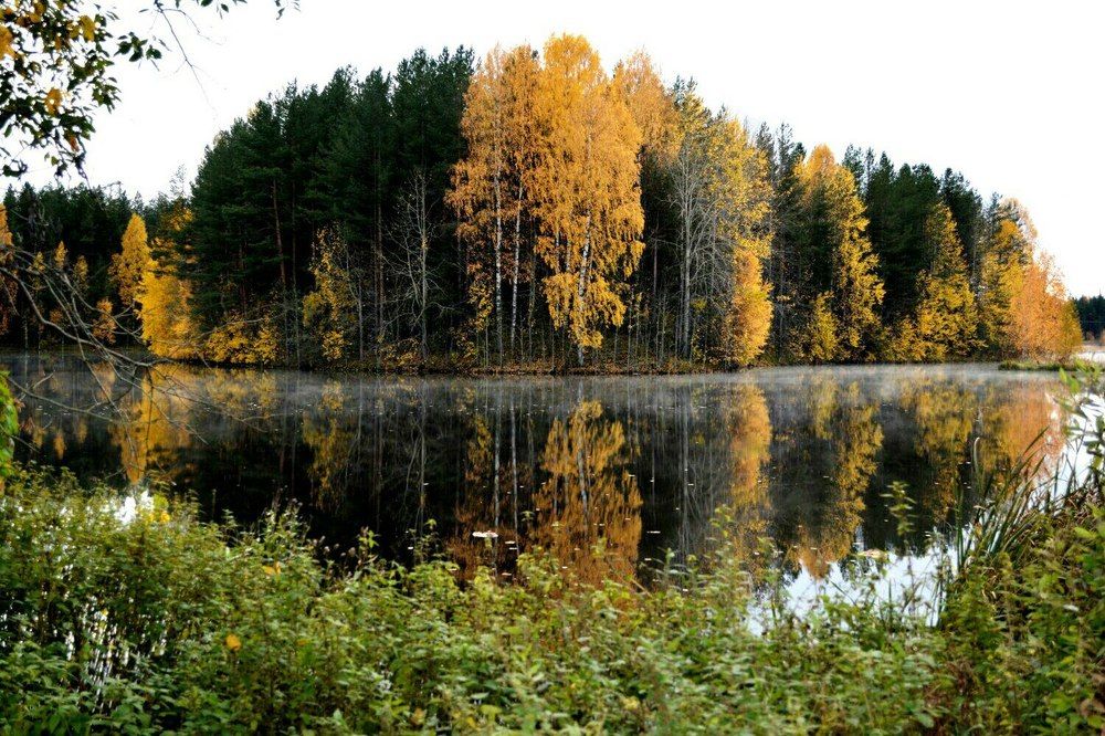 Покров день