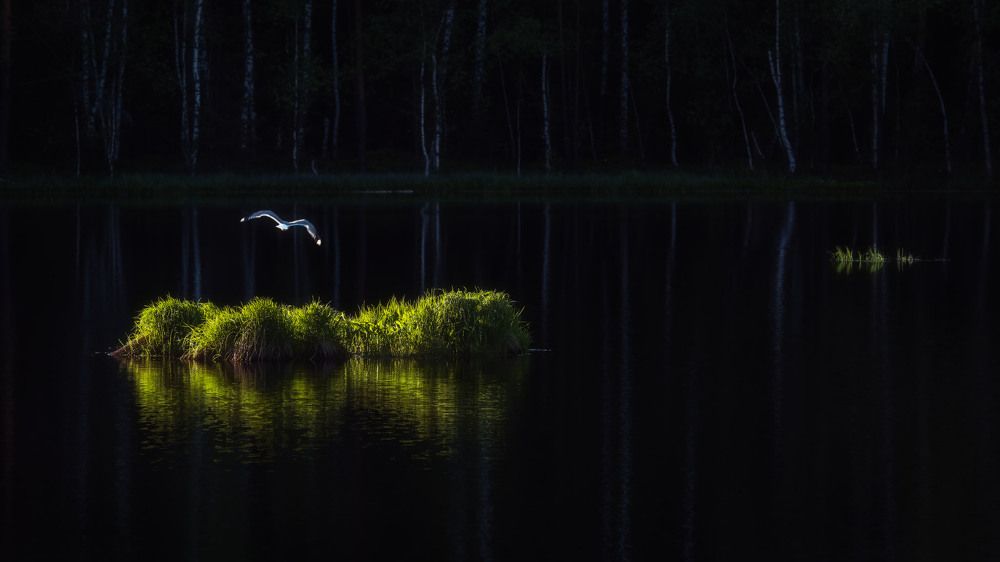 Островок на озере