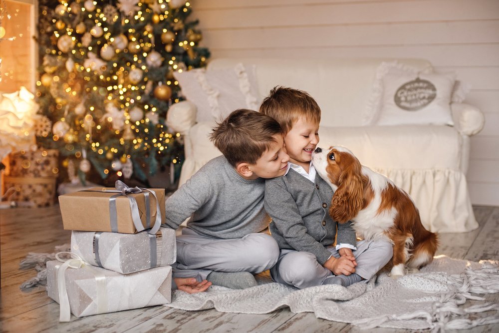 Друг навсегда.