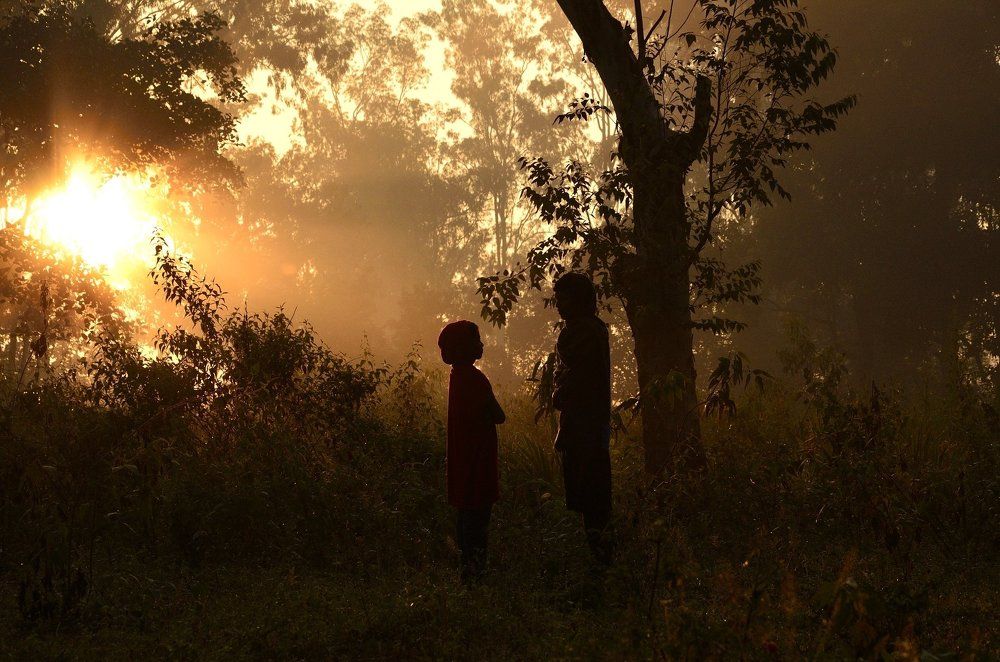 sunrise morning mist