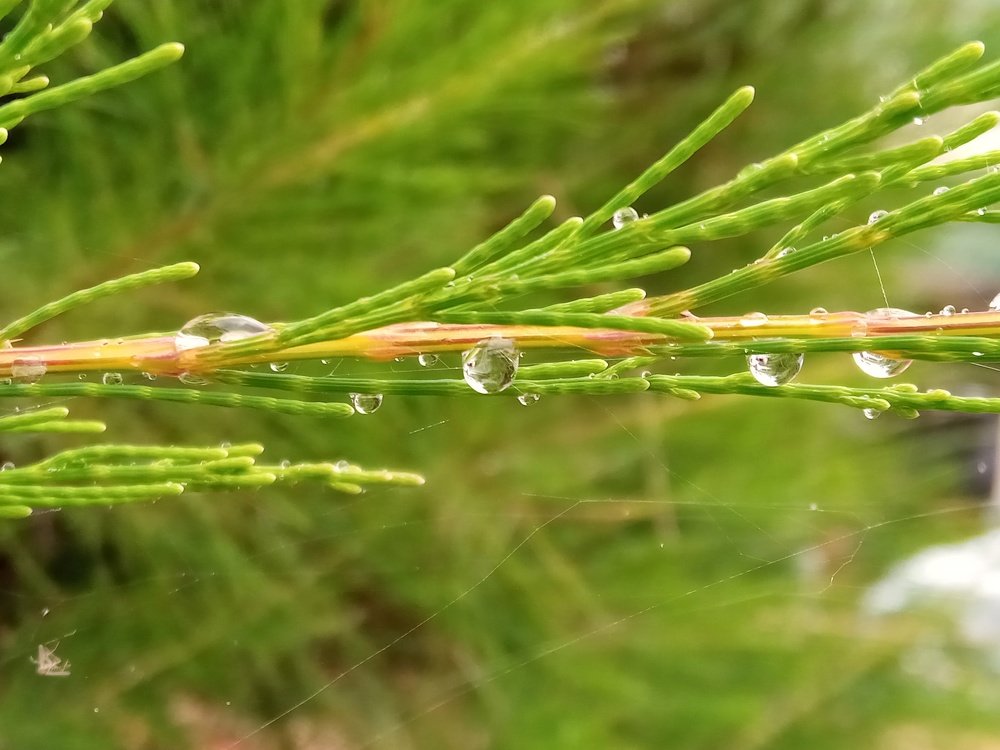 Photograph by Ibrahim Khanza