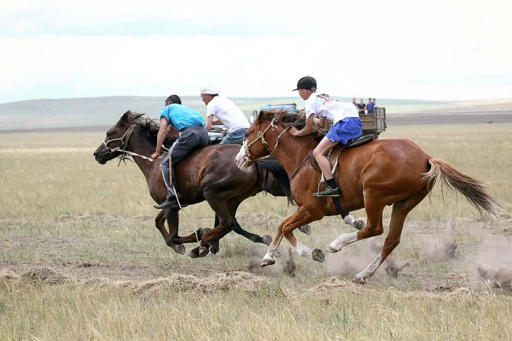 Молодость на коне