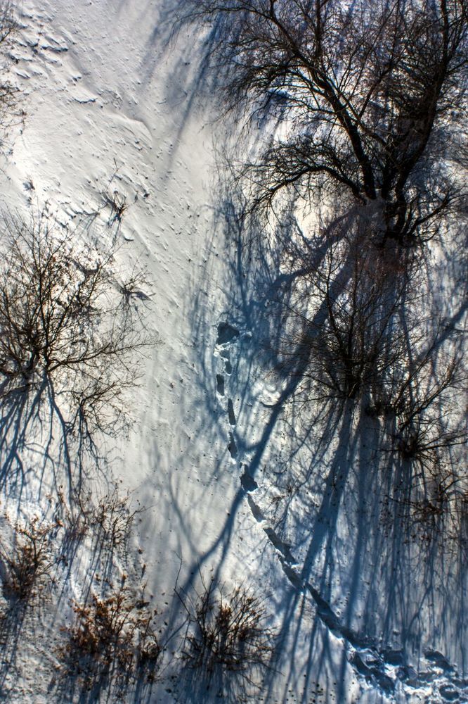 Нехоженными тропами