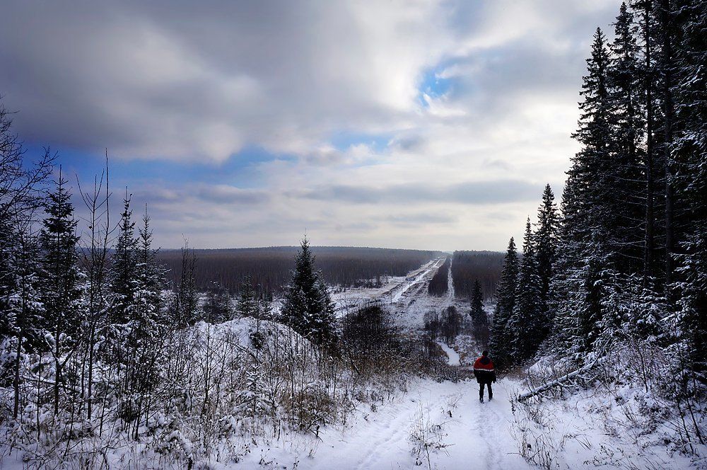Долгая дорога в зиму.
