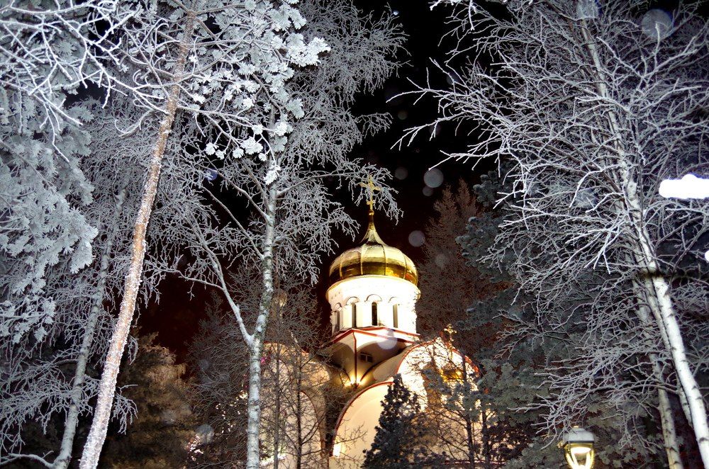 Photograph by Алина Фаттахова