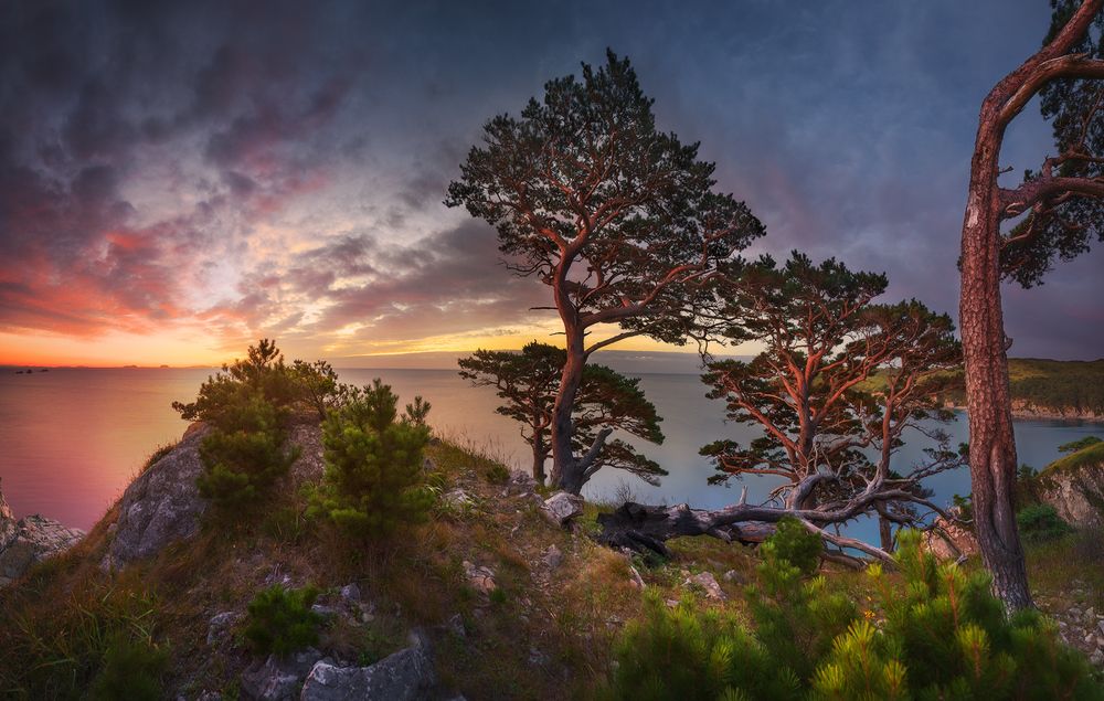 Озаренные светом