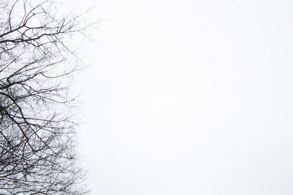 Photograph by Наталья