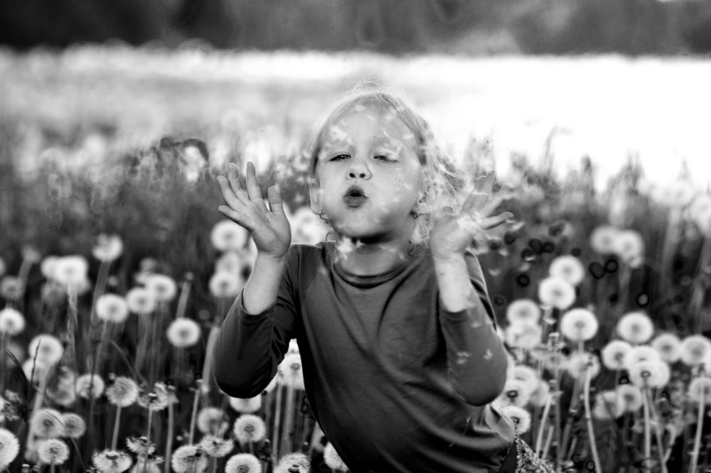 В одуванчиках