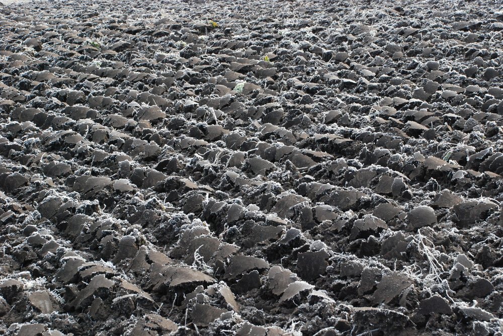 Photograph by Игорь Кляхин