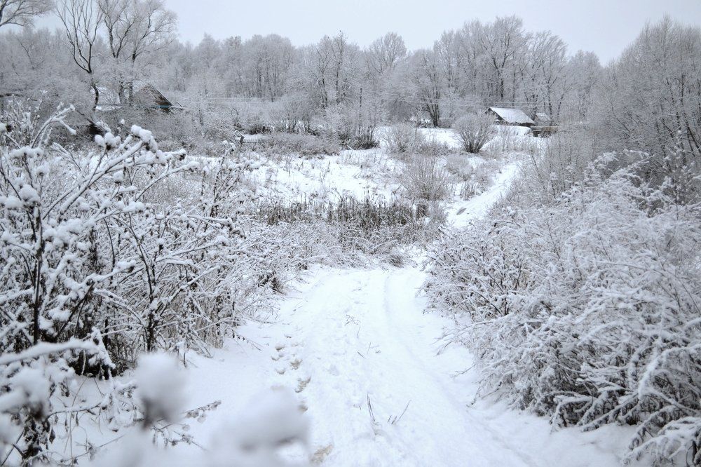 Winter in the Willadge