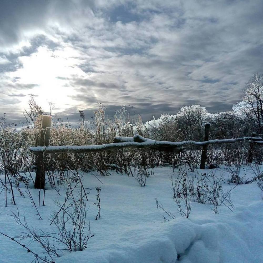 Морозное утро