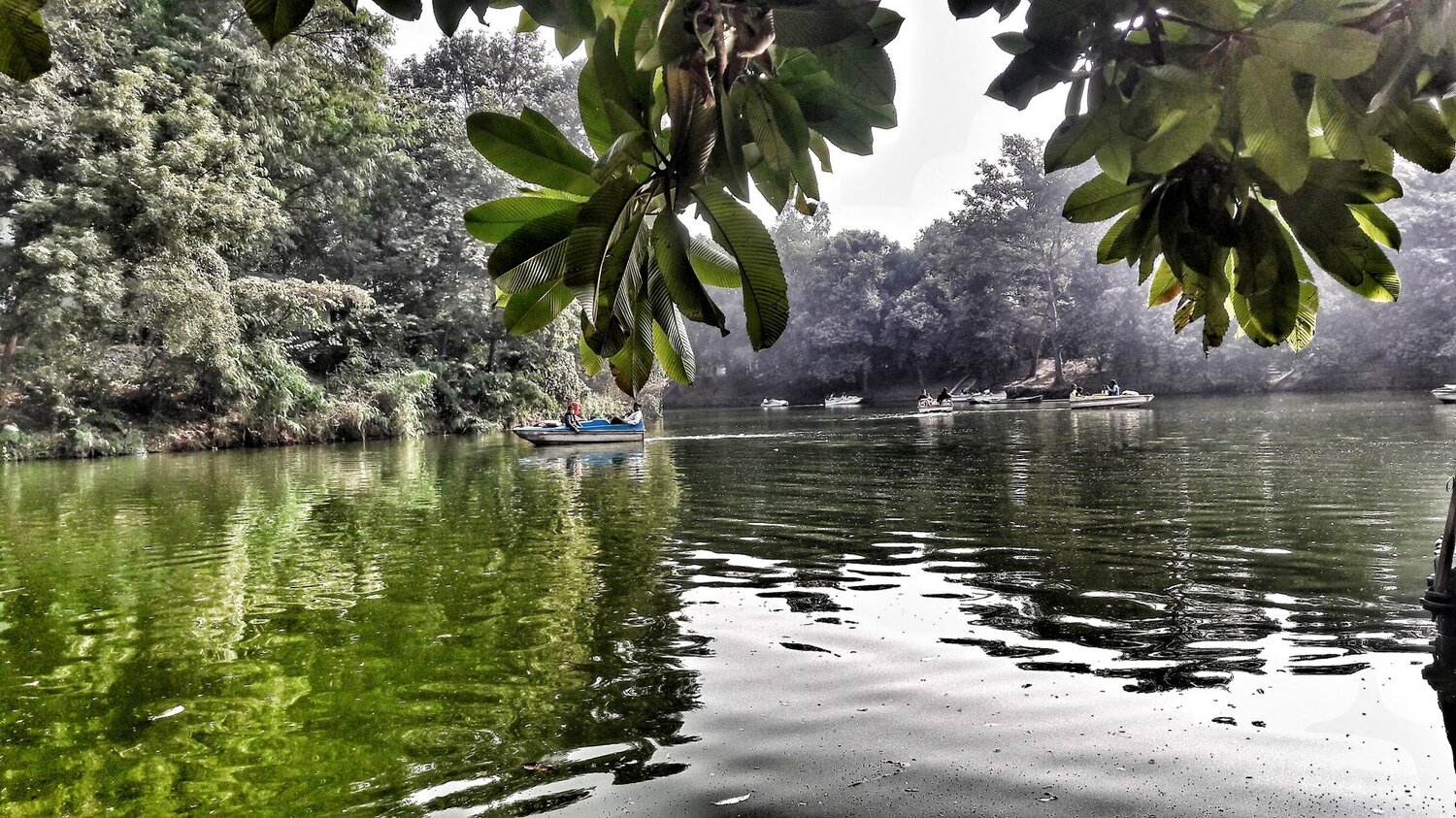 We can't explain beauty of the nature in words.