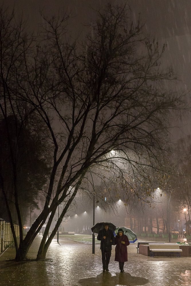 Промокший город