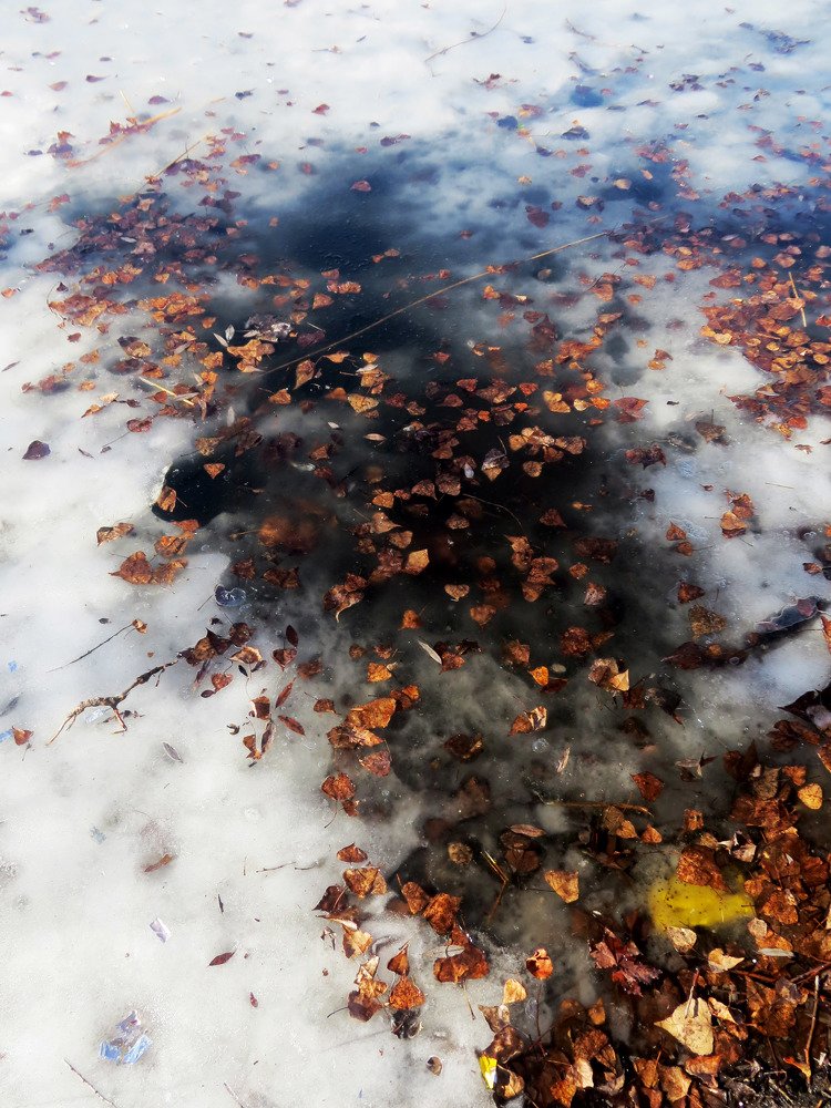 Осенне-зимний этюд.