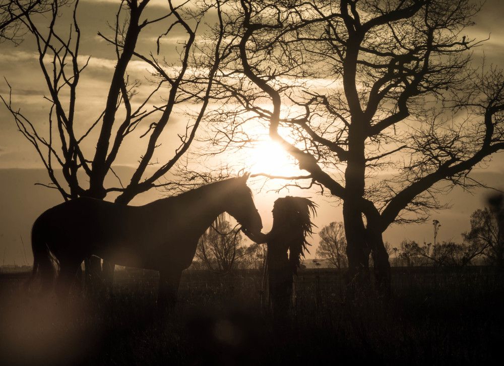 Покахонтас