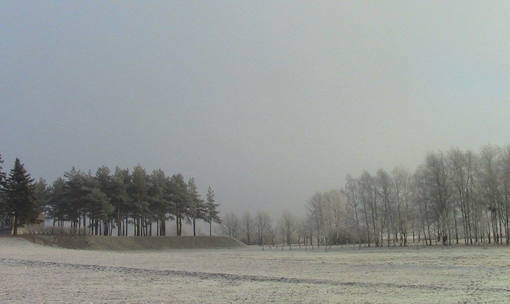 Зимний туман