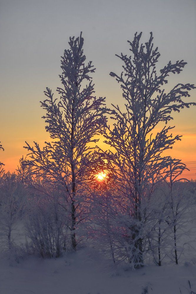 Короткий полярный день