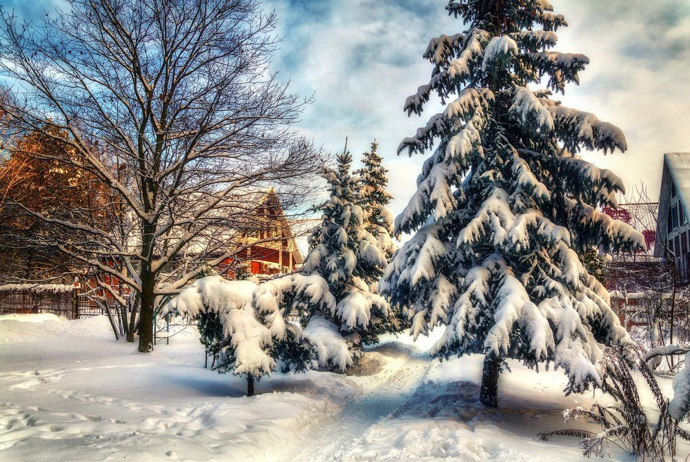 Зима в Славутиче.