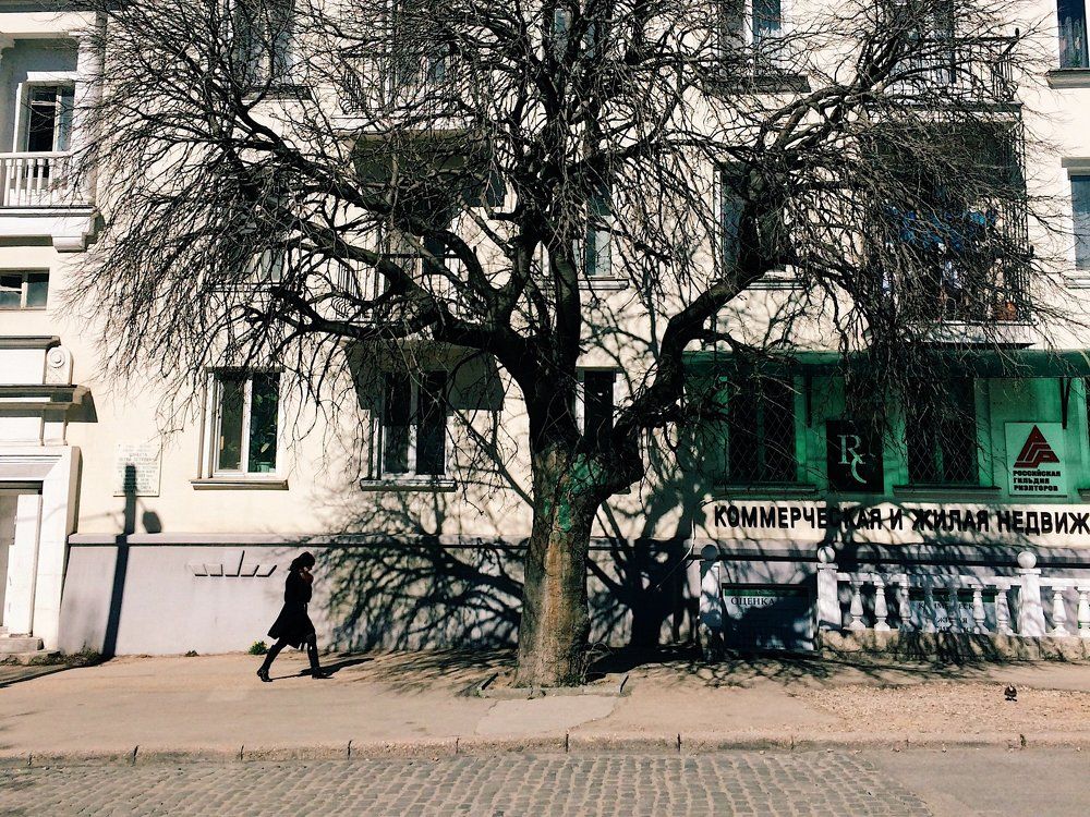 Без названия