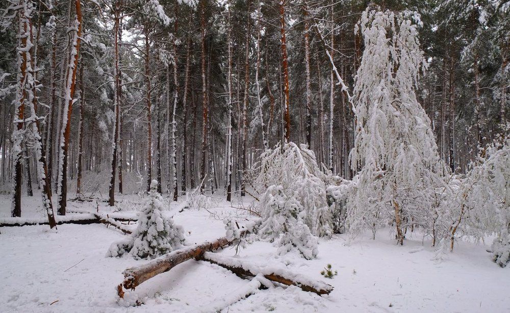 Photograph by Андрей