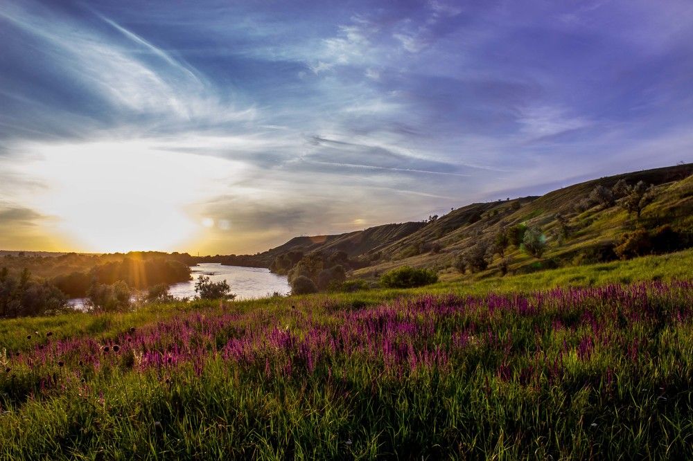 Кубанские просторы...