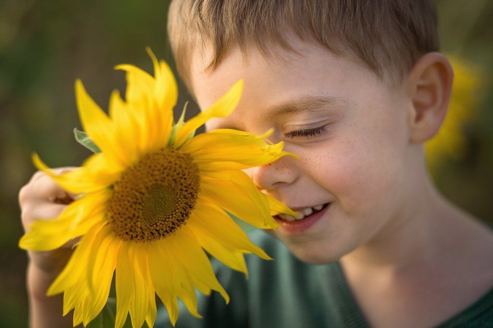 В подсолнухах