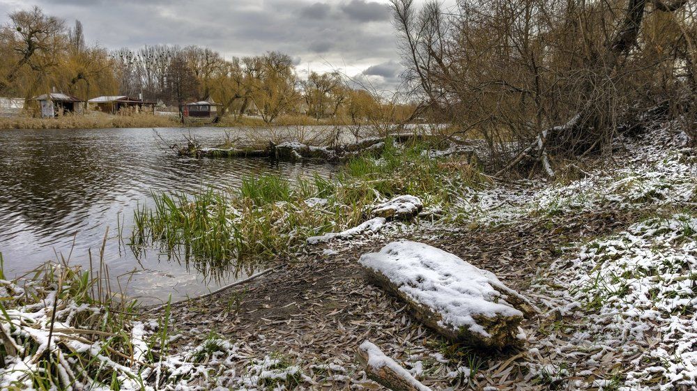 В старом парке