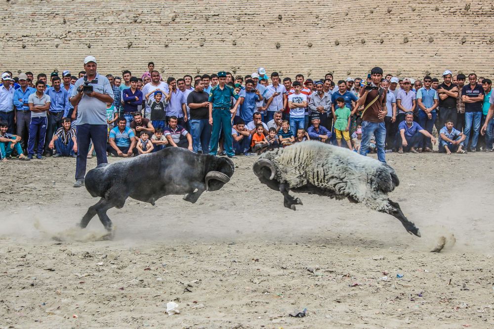 Путешествие в старину