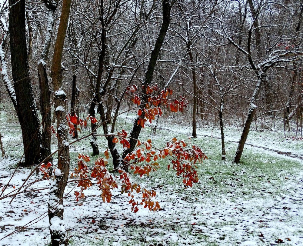 Предзимье,,,