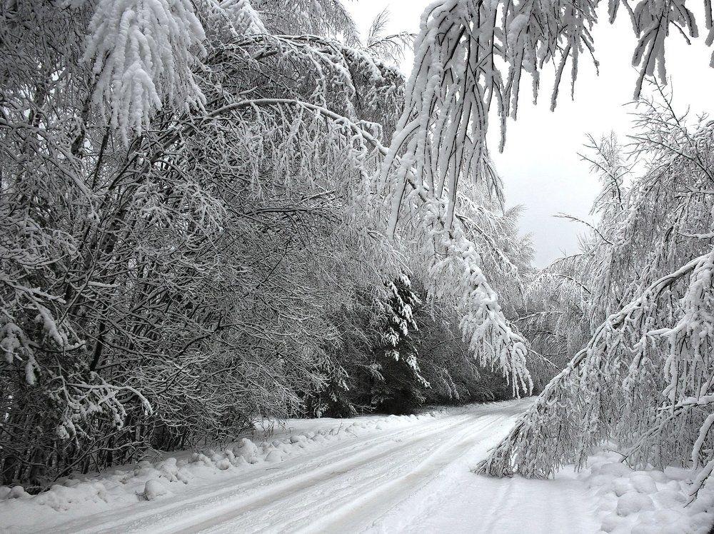 Такого снегопада еще не знали здешние места...