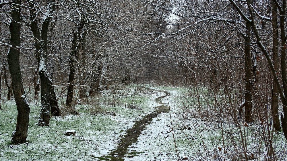 Припорошило,,,