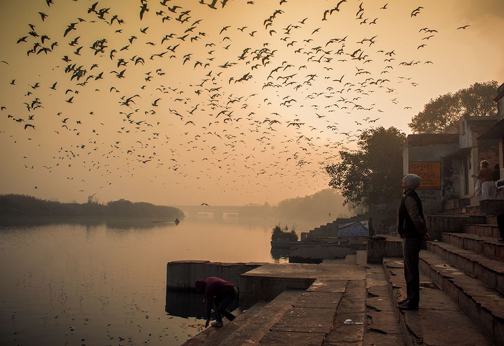 and here they come- our guests