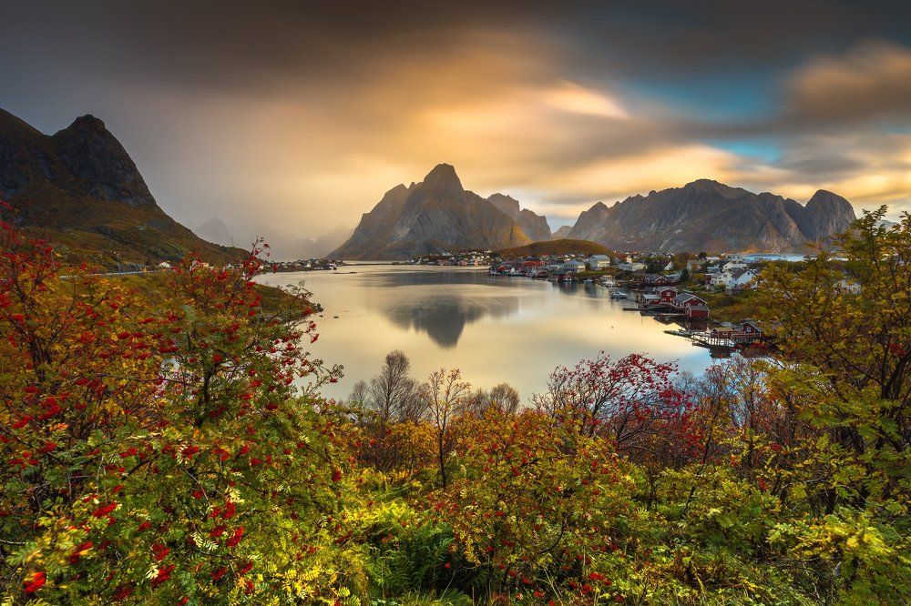 Magical Reine