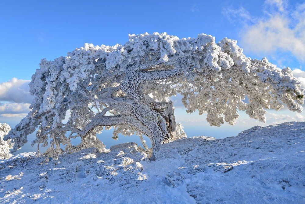 На краю земли