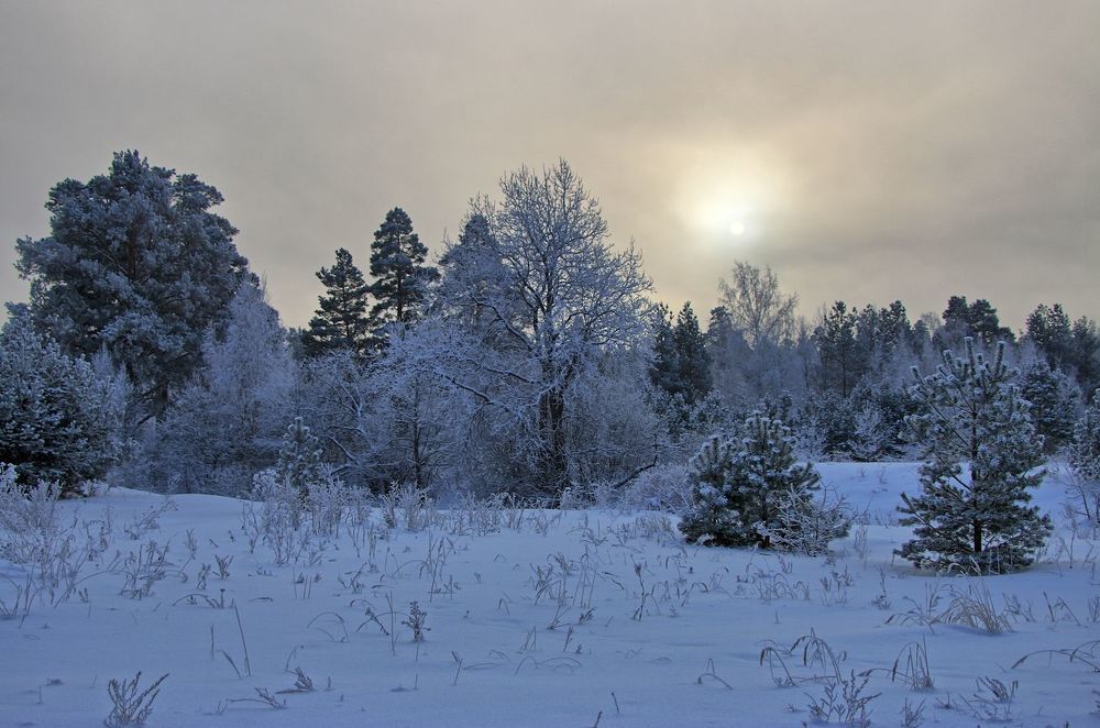 Photograph by Алексей Федулов