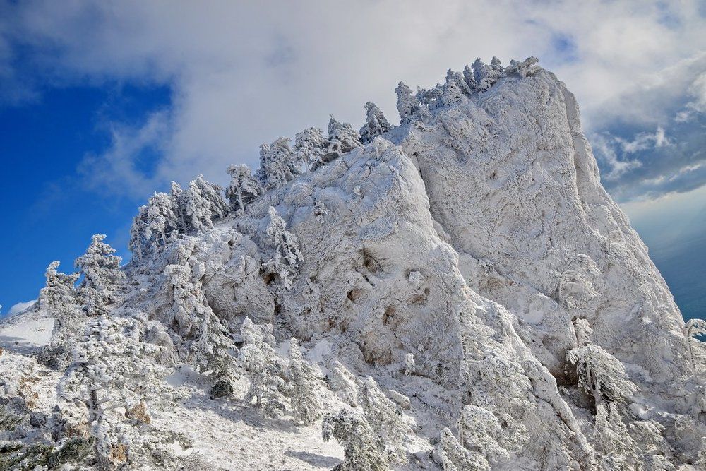 Сказочные сосны сказочной горы