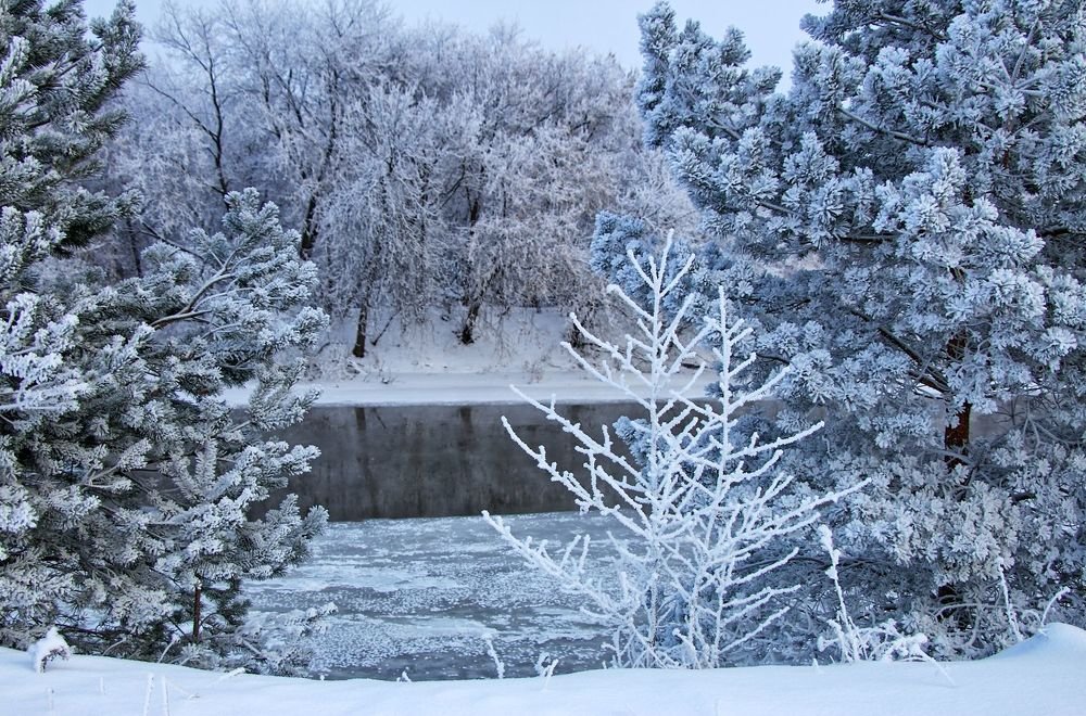 Photograph by Алексей Федулов