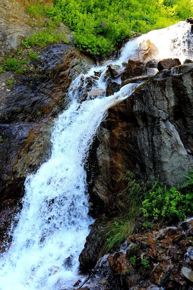 Невеста тянется к скале.