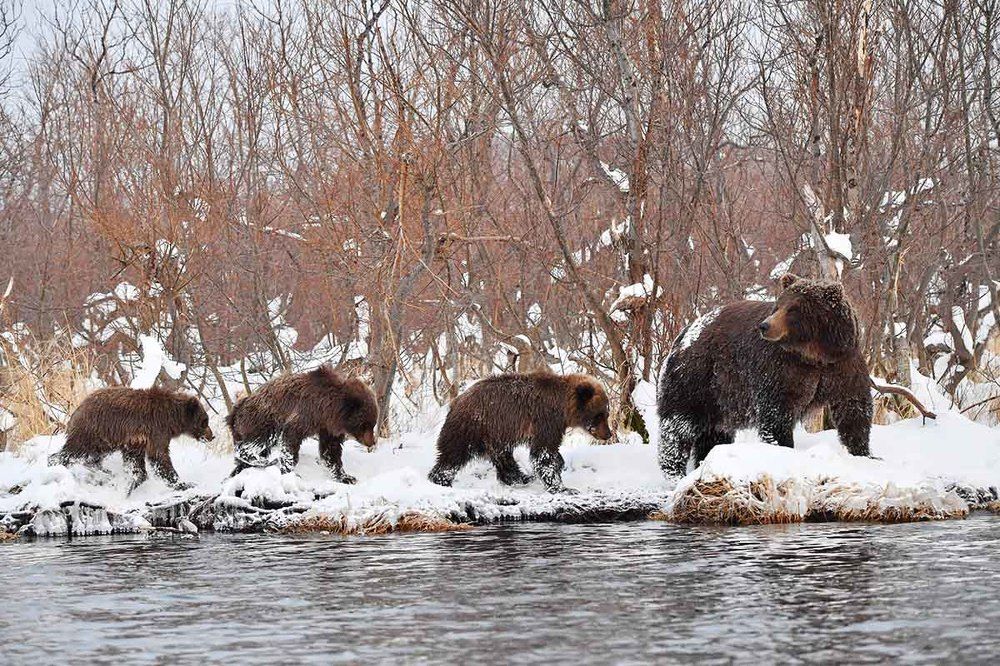 Первый снег