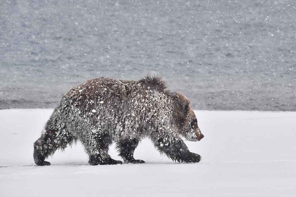 Маленький, но уже большой